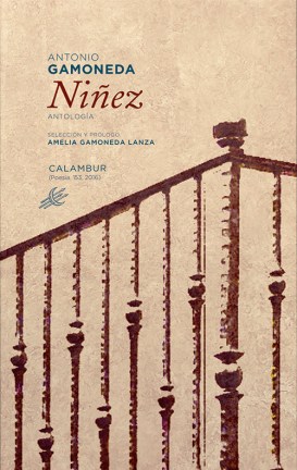 1-Ninez_cubierta