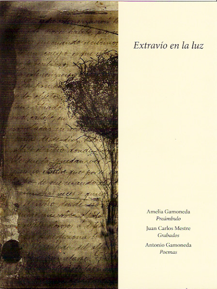 carpeta extravío